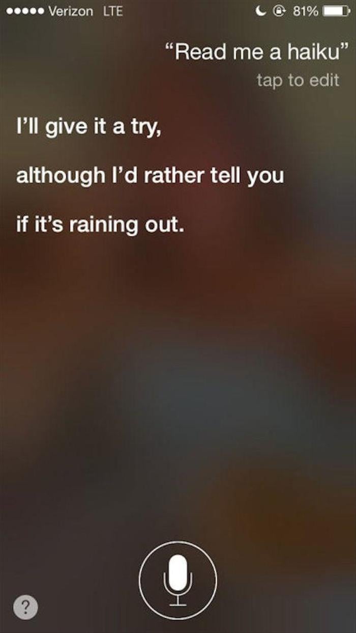 siri funny (5)