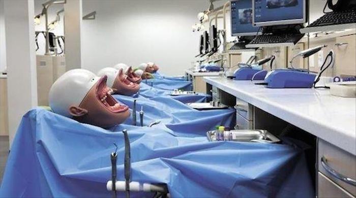 a funny dentist (2)