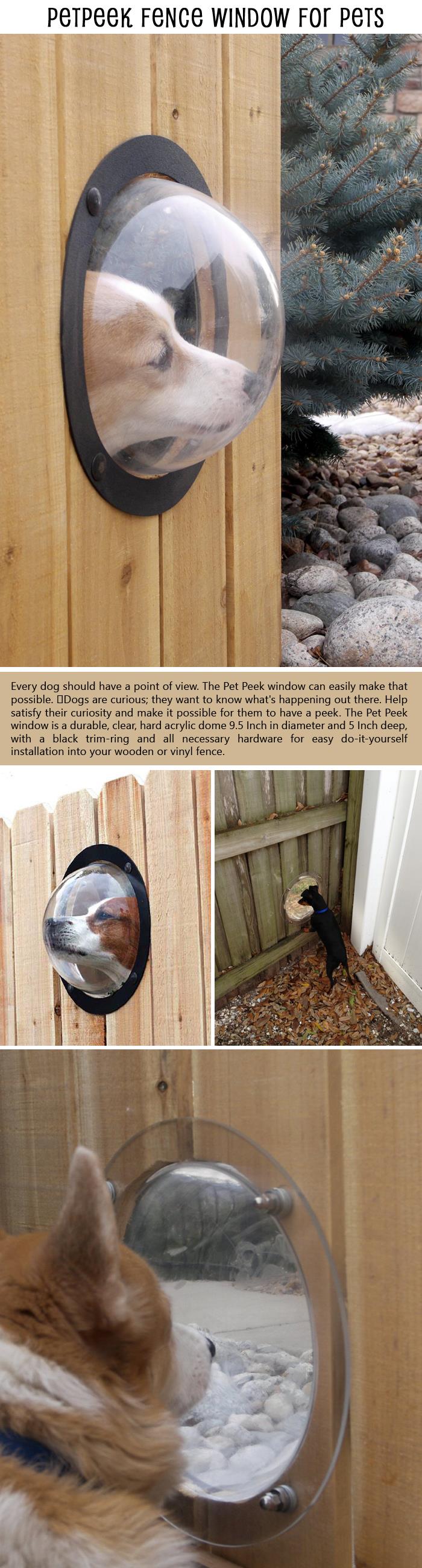 PetPeek Fence Window for Pets