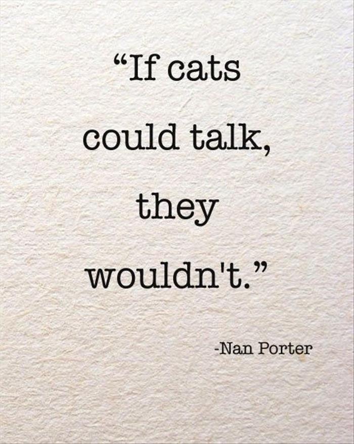 if cats could talk
