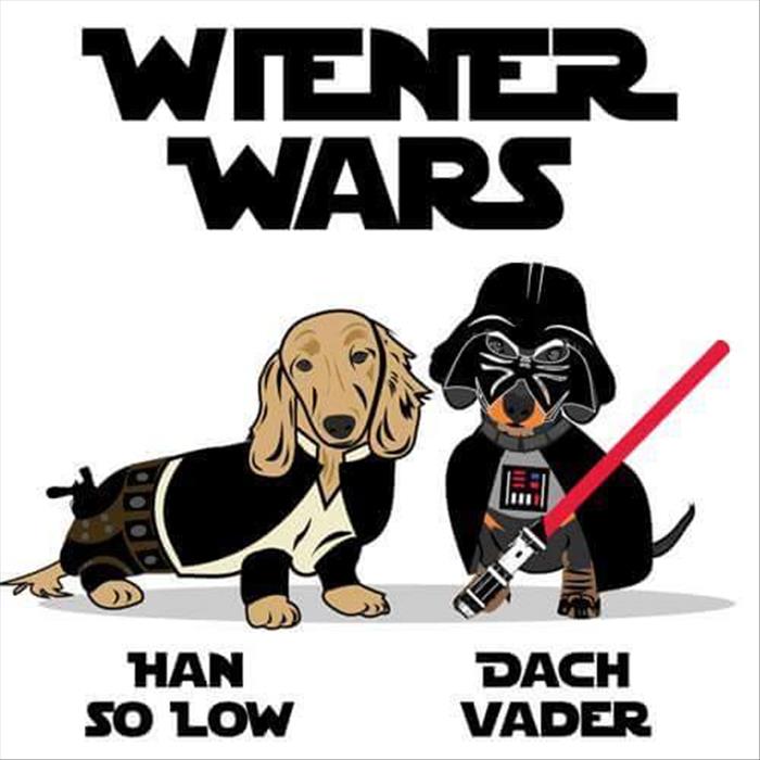 funny weiner dogs