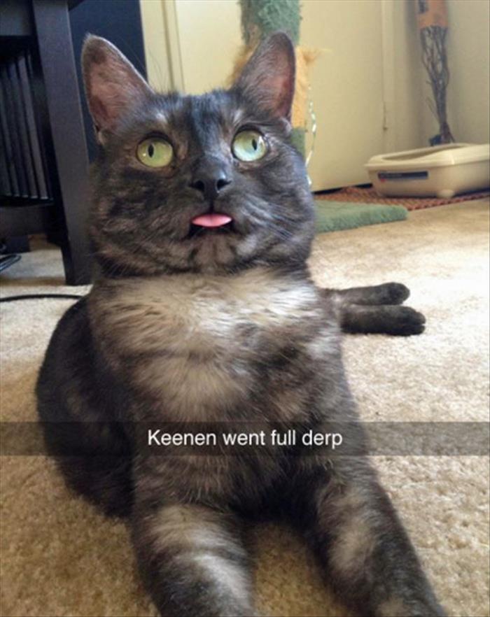 she went full derp