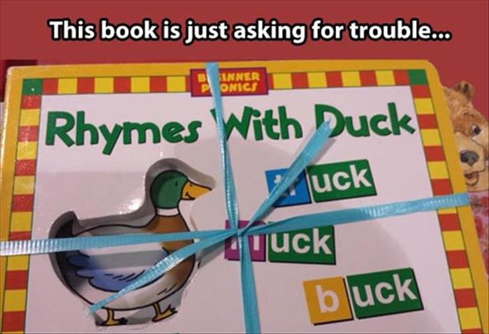 the duck book