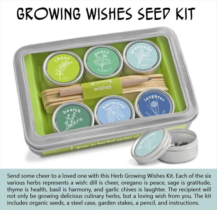 Growing Wishes Seed Kit