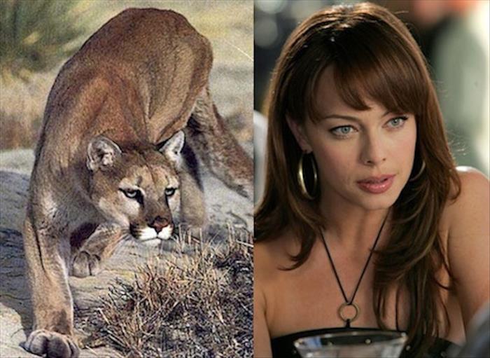 celebrities and animals (15)