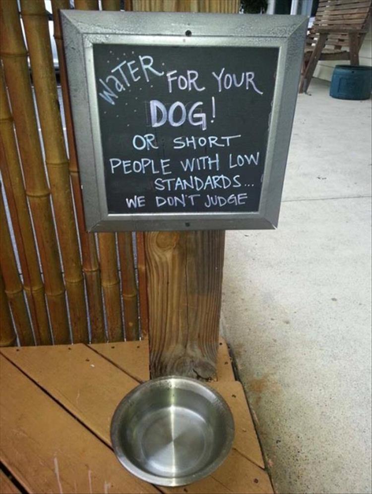 funny-signs-16