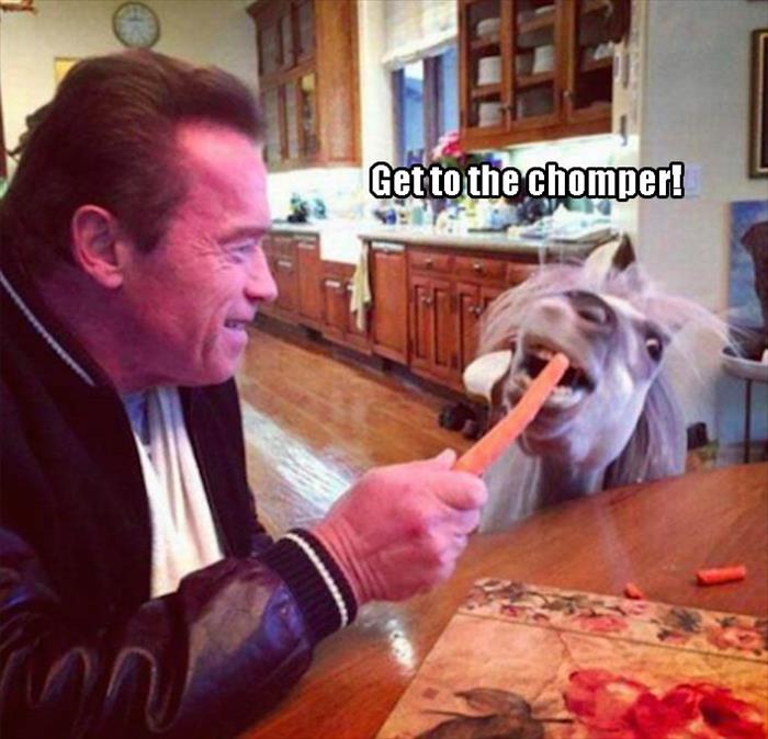 get to the chomper