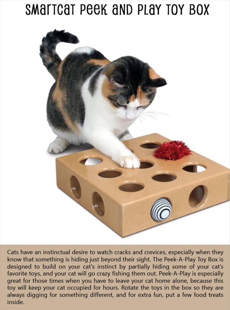 SmartCat Peek and Play Toy Box