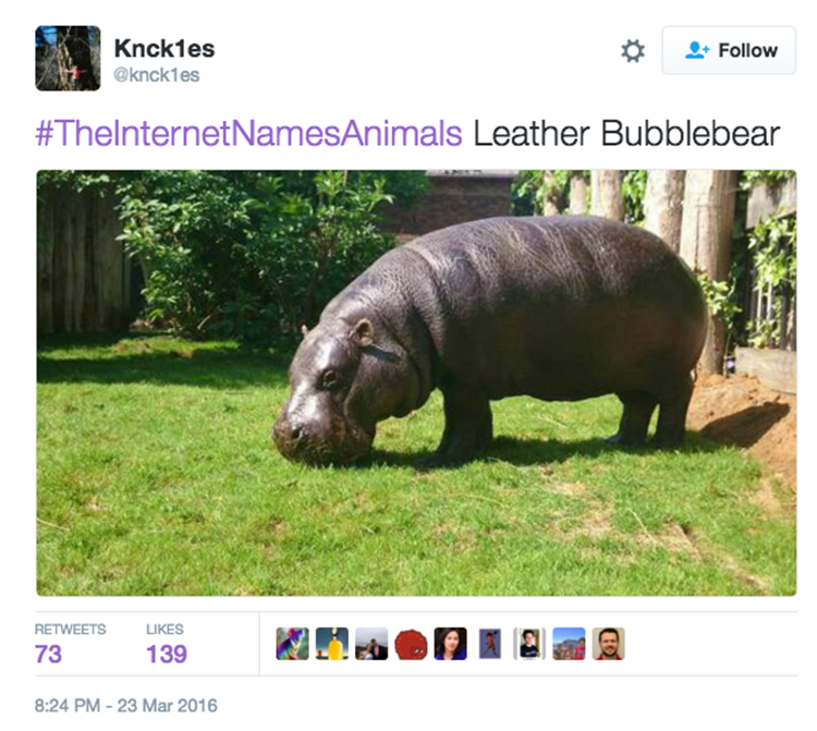 I'm Starting To Wish The Internet Named Animals - 23 Pics