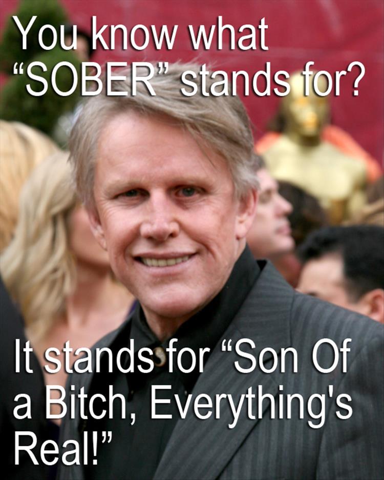 There Is A Fine Line Between Genius And Insanity And Gary Busey Skips