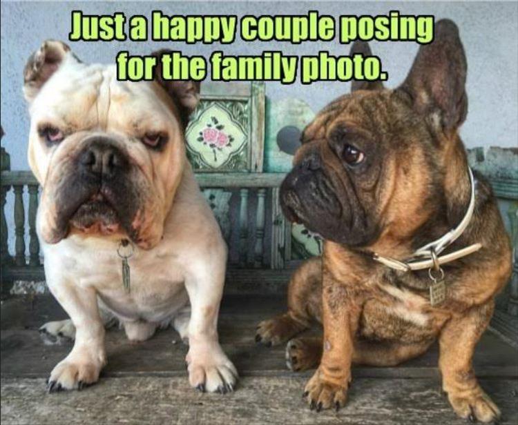 family photos