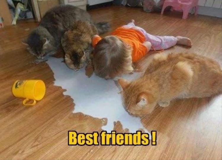 funny best friends