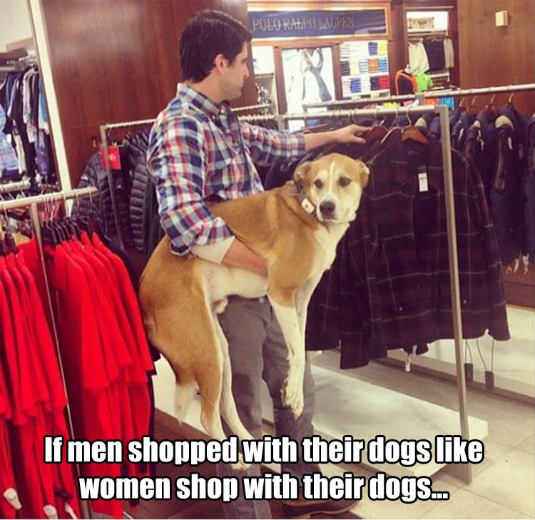 a shopping with dogs