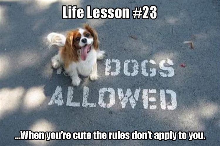 life lessons