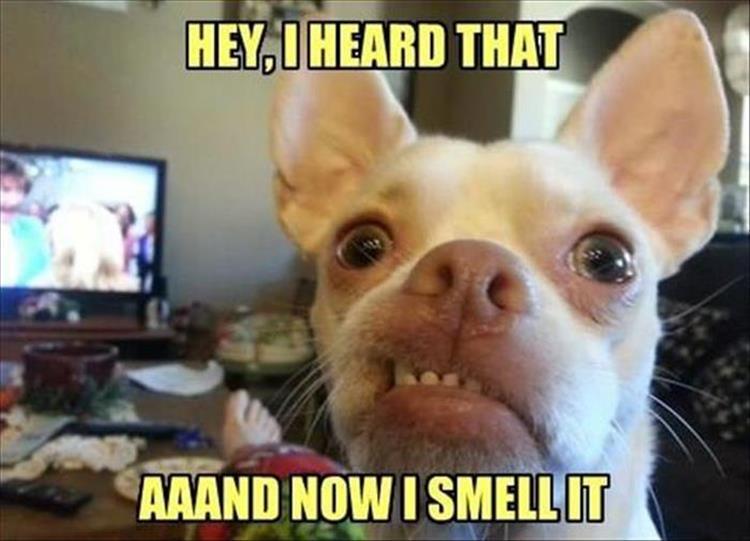 smell it