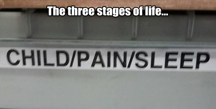 three stages in life