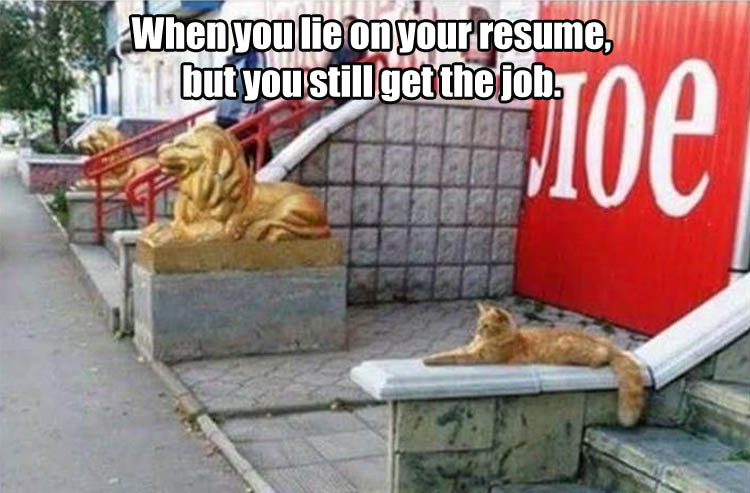 when you lie on your resume but still get the job