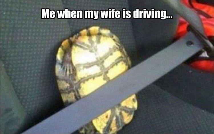 a-when-my-wife-drives