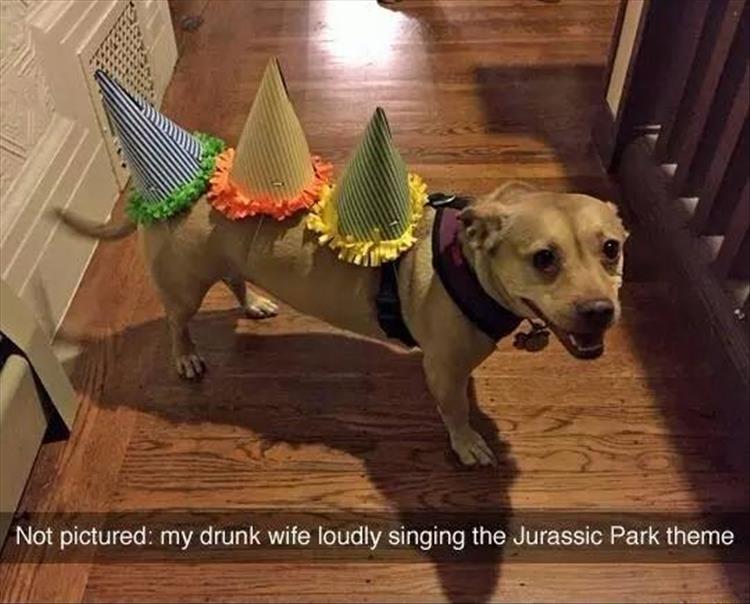 dog-costumes