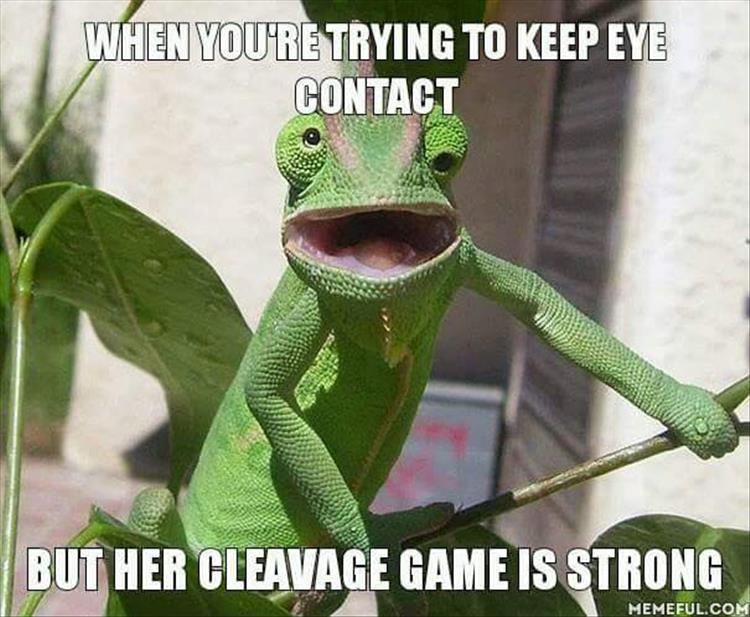 keep eye contact