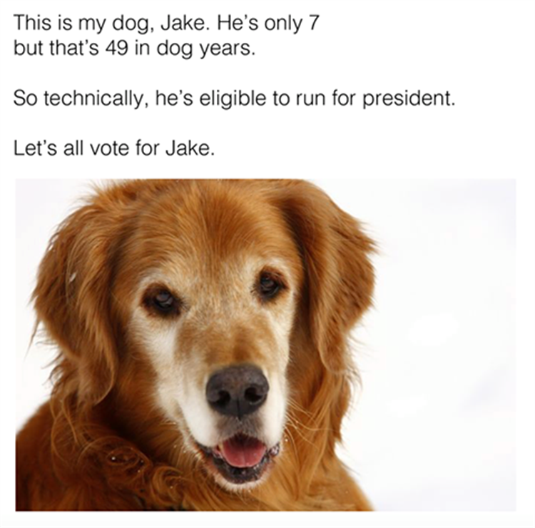 vote-for-president