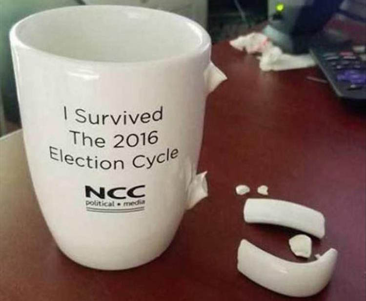 d-i-survived-the-2016-election-process