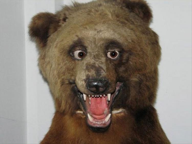 The Very Best Of Really Bad Taxidermy - 23 Pics