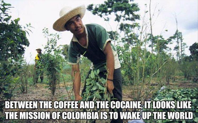 the-coffee-and-cocaine