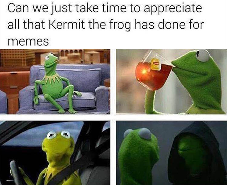 kermit-the-frog-memes