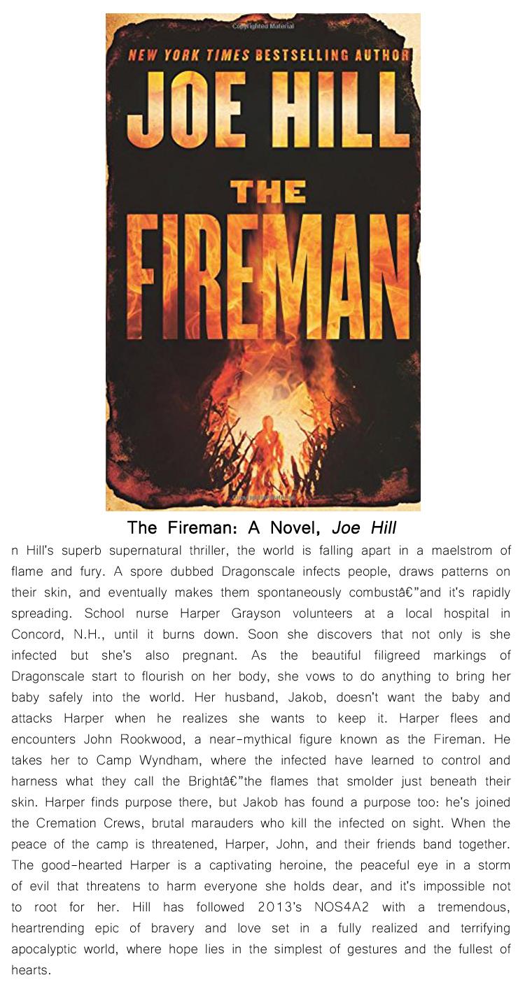 the-fireman