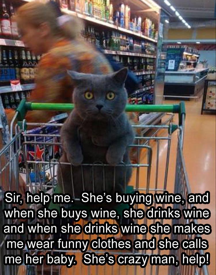 help-me-shes-buying-wine-when-she-drinks-it-she-gets-crazy.jpg