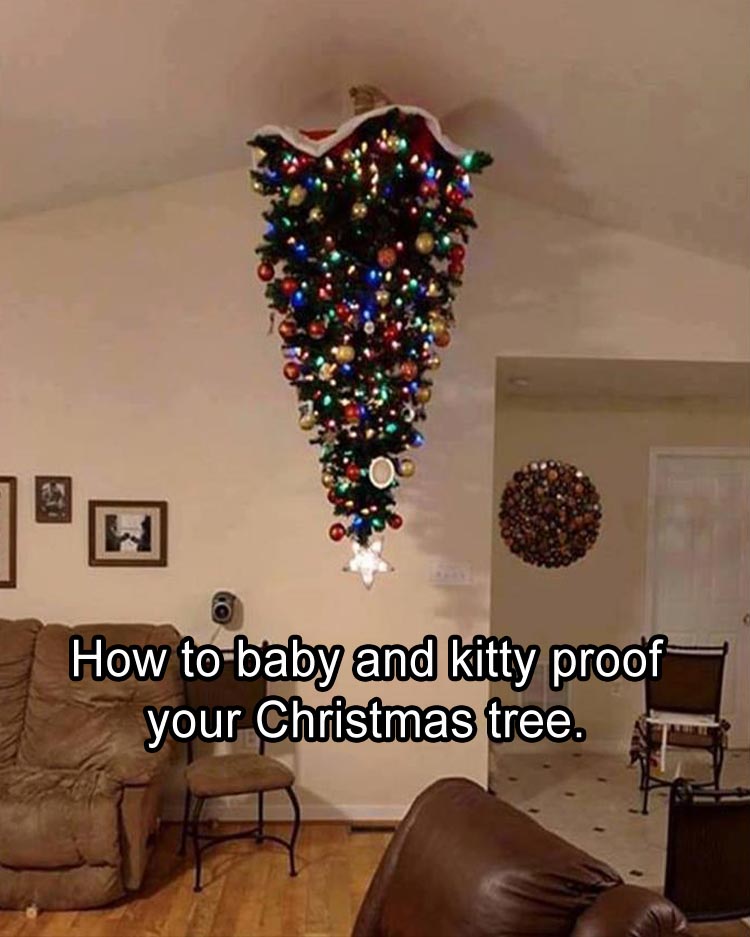 how-to-make-sure-your-christmas-tree-sur