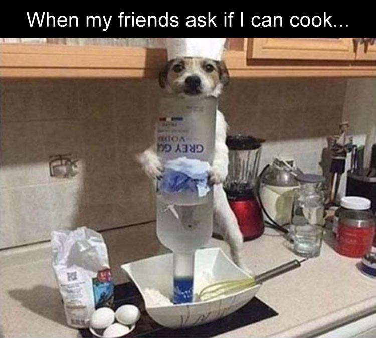 when-my-friends-ask-if-i-can-cook-and-im-like