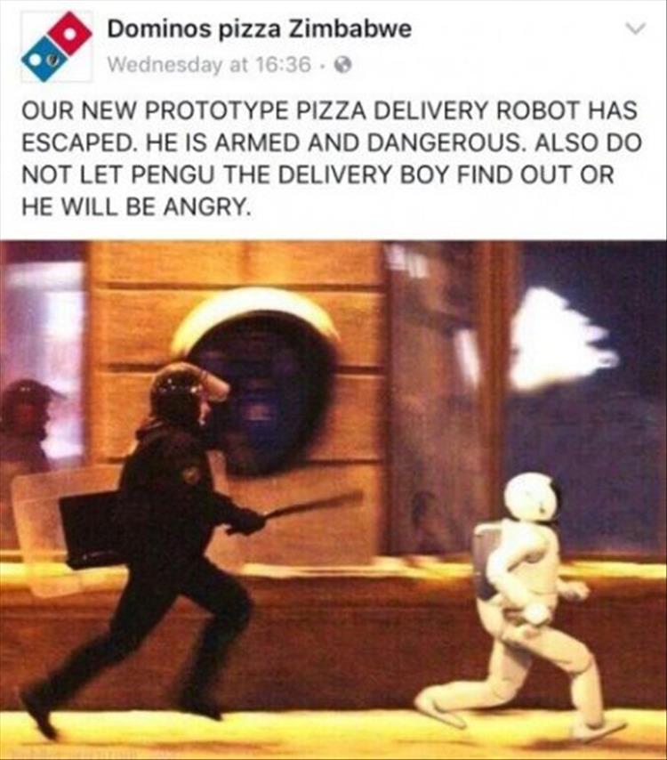 the pizza robot