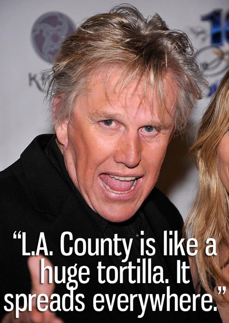 Gary Busey is nuts (3)