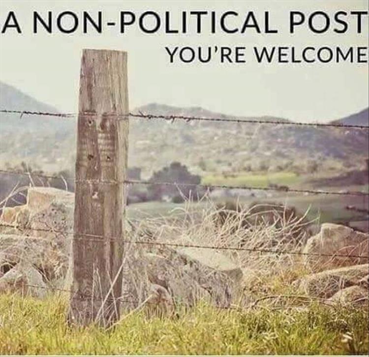 non political post