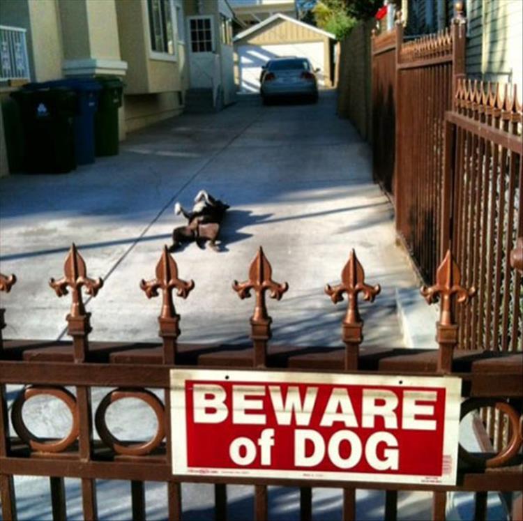 16-beware-of-dog-signs-you-can-probably-just-ignore