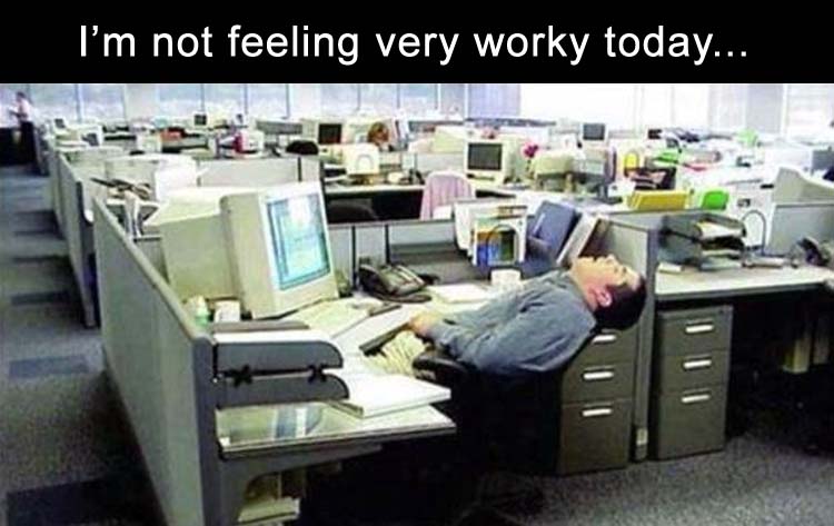 funny morning office dumpaday dump memes humor