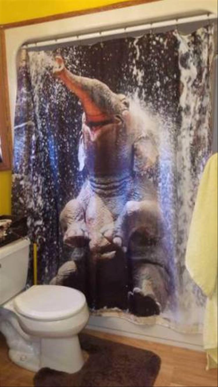 A Shower Curtain Can Make Or Break A Bathroom 23 Pics