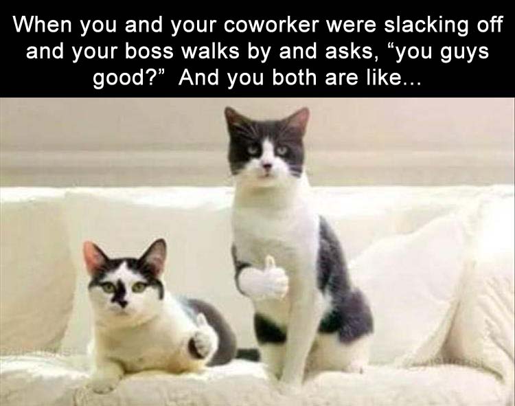 [Image: when-you-and-your-coworker-were-slacking...-going.jpg]