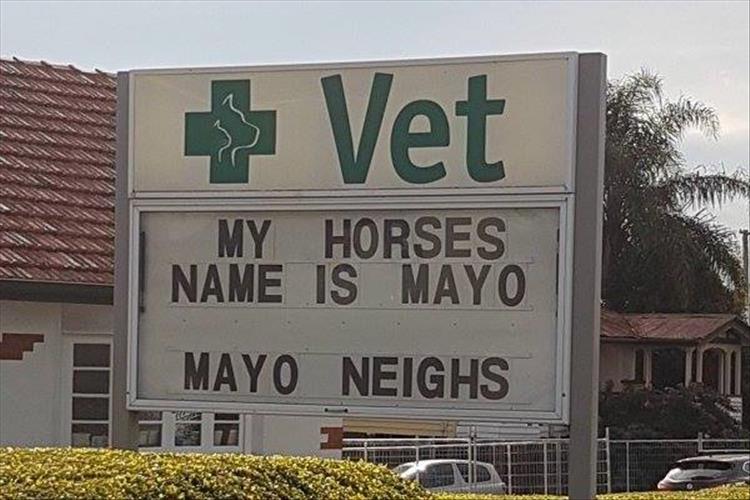 vet-signs.jpg