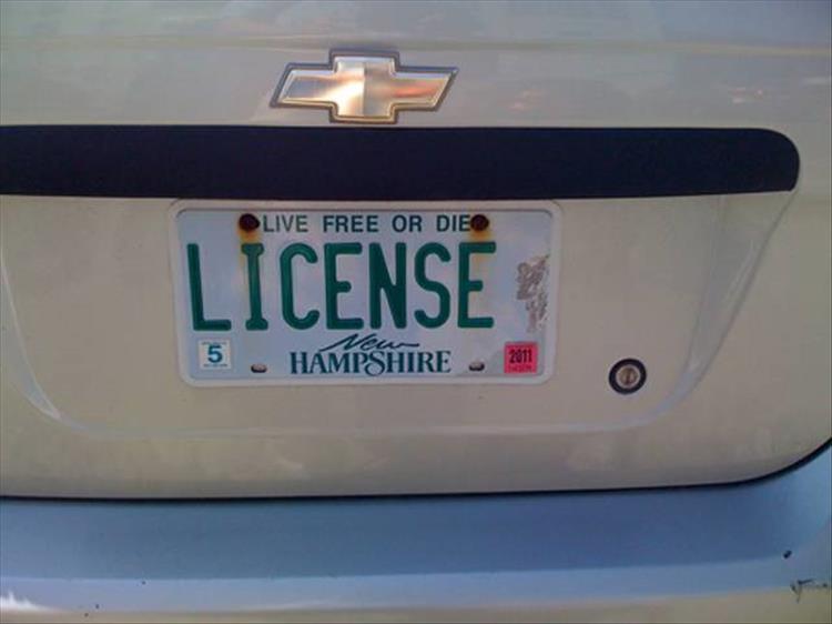 Top 20 Funny Vanity Plates Of The Year