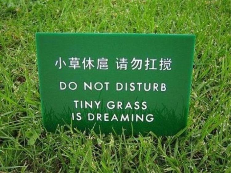 The Funny Side Of Lost In Translation 23 Pics