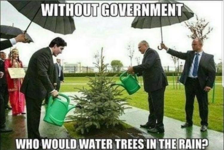 watering-trees.jpg