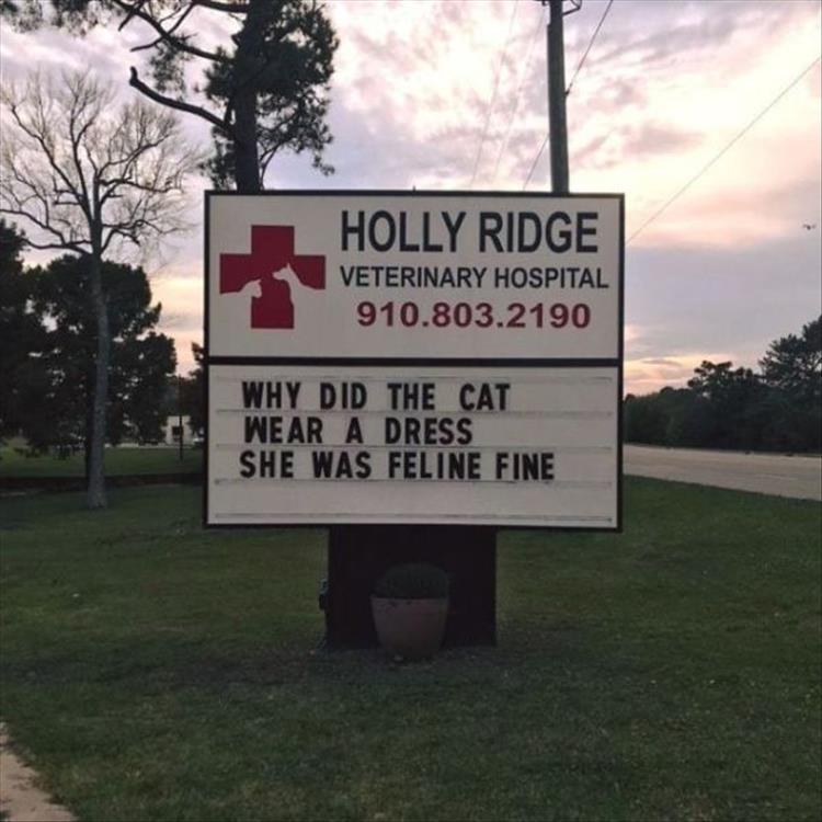 30-funny-veterinarian-signs