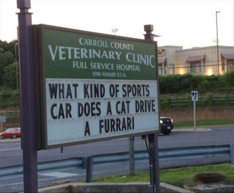 30-funny-veterinarian-signs