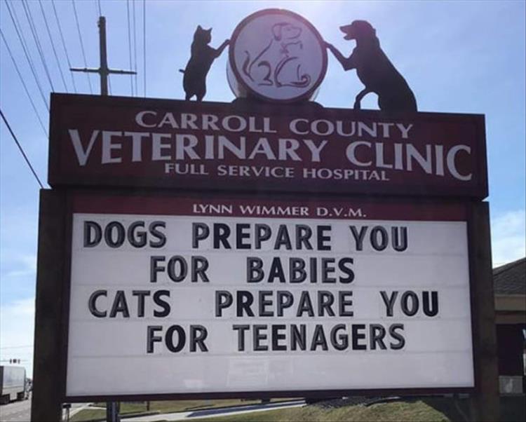 The Carroll County Vet Clinic Is The Only Clinic I Want To Hear From