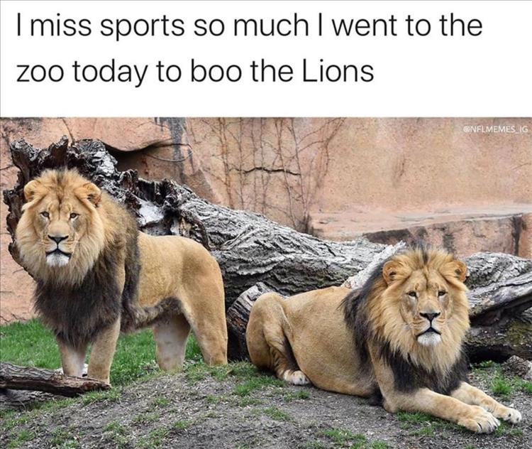 when-you-boo-the-lions.jpg