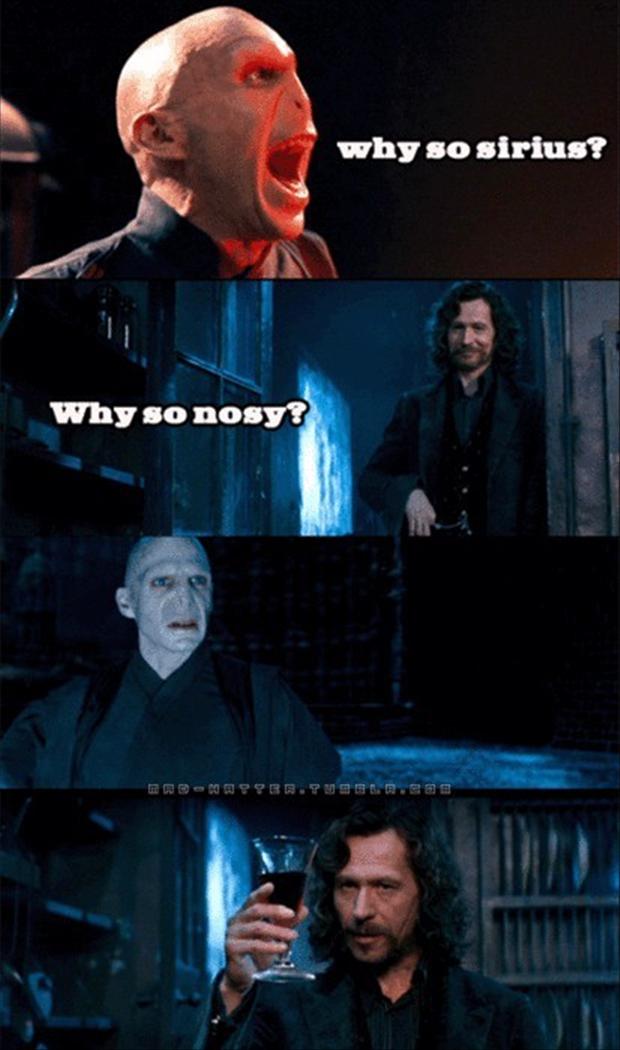 12 Of The Funniest Harry Potter Pictures  Harry potter jokes, Harry potter  memes hilarious, Harry potter memes