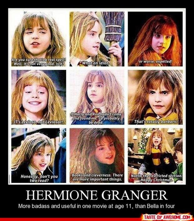 Hermione Granger Meme by buddygirl1004 on DeviantArt